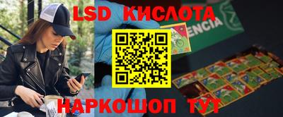 ГАЛЛЮЦИНОГЕННЫЕ ГРИБЫ Нальчик
